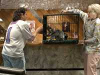 ������