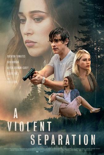 �������������� ���������� / A Violent Separation (2019)