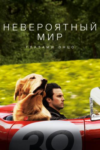 ����������� ��� ������� ���� / The Art of Racing in the Rain (2019)
