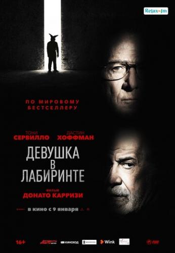 ������� � ��������� / L'uomo del labirinto (2019)
