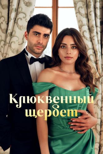 ���������� ������ / Kizilcik Serbeti (2022)